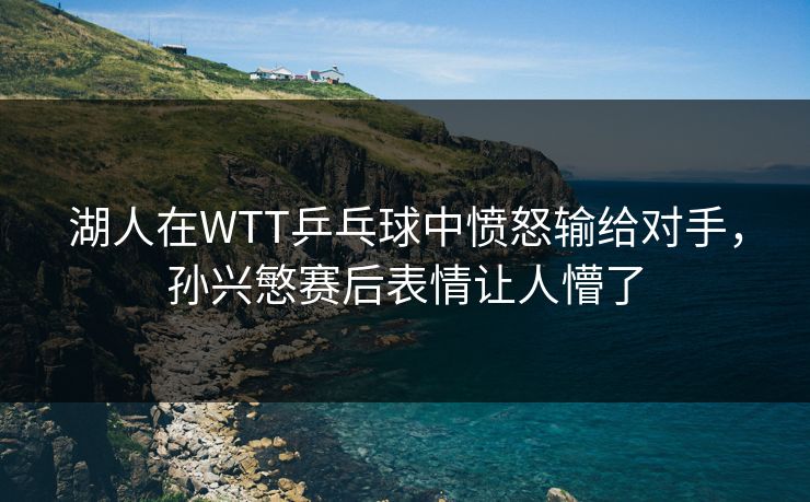 湖人在WTT乒乓球中愤怒输给对手，孙兴慜赛后表情让人懵了